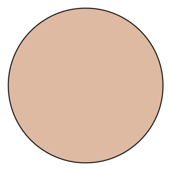 Colorescience - Unforgettable - Total Protection - Face Shield Flex SPF 50 Medium - Imagen 2